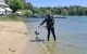 FOTO // Plajele din Chișinău, „curățate de pericole ascunse”. Ce au scos muncitorii din lacuri înainte de deschiderea sezonului estival