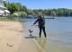 FOTO // Plajele din Chișinău, „curățate de pericole ascunse”. Ce au scos muncitorii din lacuri înainte de deschiderea sezonului estival