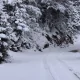 Un val de aer rece a adus ninsori abundente și temperaturi neobișnuit de scăzute în Grecia