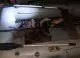 FOTO // Polițiștii din Florești au prins patru bărbați care pescuiau ilegal în zona râului Nistru