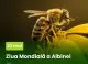 Astăzi este marcată Ziua Mondială a Albinei