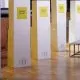 Igor Grosu a fost reales președinte al PAS. Liderul formațiunii nu a avut contracandidat la Congresul partidului