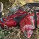 Motociclist decedat după ce s-a izbit cu vehiculul într-un copac la Etulia. Doi pasageri au fost răniți