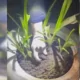 VIDEO // Doi bărbați reținuți pentru comercializarea drogurilor sintetice în sectorul Botanica, al capitalei