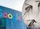 Google vrea să elibereze 32 de milioane de țânțari în SUA. Proiectul care stârnește controverse și dezbateri aprinse