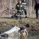 Un bărbat din Republica Moldova a fost găsit mort într-un automobil furat, răsturnat într-un canal lângă Milano