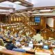 Parlamentul a adoptat un proiect de lege pentru încurajarea investițiilor în energie regenerabilă cu soluții de stocare