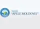Guvernul va examina reforma „Apele Moldovei”. Instituția ar putea primi atribuții suplimentare