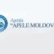 Guvernul va examina reforma „Apele Moldovei”. Instituția ar putea primi atribuții suplimentare