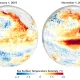 Alertă meteo globală: Un fenomen El Niño extrem s-a format în Pacific și ar putea fi printre cele mai puternice din ultimii 70 de ani