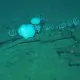 Descoperire spectaculoasă în Oceanul Indian: Cercetătorii au găsit cel mai mare „cimitir al balenelor” din lume