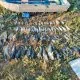 Prejudiciu de 372 500 de lei într-un caz de braconaj piscicol pe Nistru