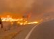 12 morți în urma unui incendiu de vegetație din Andaluzia