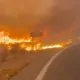 12 morți în urma unui incendiu de vegetație din Andaluzia