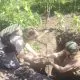 Geniștii Armatei Naționale au neutralizat 21 de obiecte explozive în iunie