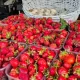 Unde poți merge la târg în acest weekend în Chișinău? Programul iarmaroacelor din 18-19 iulie