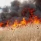 COD GALBEN // A patra alertă emisă astăzi: Pericol de incendii în aproape toată țara până la sfârșitul lunii