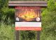 Agenția „Moldsilva” a intensificat supravegherea fondului forestier pentru prevenirea incendiilor