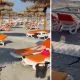 Panică pe o plajă din România: Un șarpe de 1,5 metri a apărut printre șezlongurile turiștilor