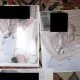 O cetățeană a Rusiei despre Jeffrey Epstein: „A creat un adevărat ecosistem al violenței”