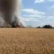Incendiu de proporții la Purcari: Aproape 38 de hectare de grâu, distruse de flăcări
