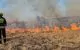 Pompierii au intervenit pentru stingerea a 16 incendii de vegetație uscată în ultimele 24 de ore
