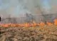 Pompierii au intervenit pentru stingerea a 16 incendii de vegetație uscată în ultimele 24 de ore