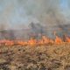 Pompierii au intervenit pentru stingerea a 16 incendii de vegetație uscată în ultimele 24 de ore