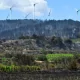 Incendiile de vegetație fac ravagii în sudul Franței: Mii de persoane evacuate, sute de pompieri mobilizați și mii de hectare mistuite