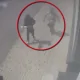 VIDEO // Doi tineri din Chișinău, reținuți pentru escrocherii de peste 200 mii de lei după ce ar fi păcălit două femei
